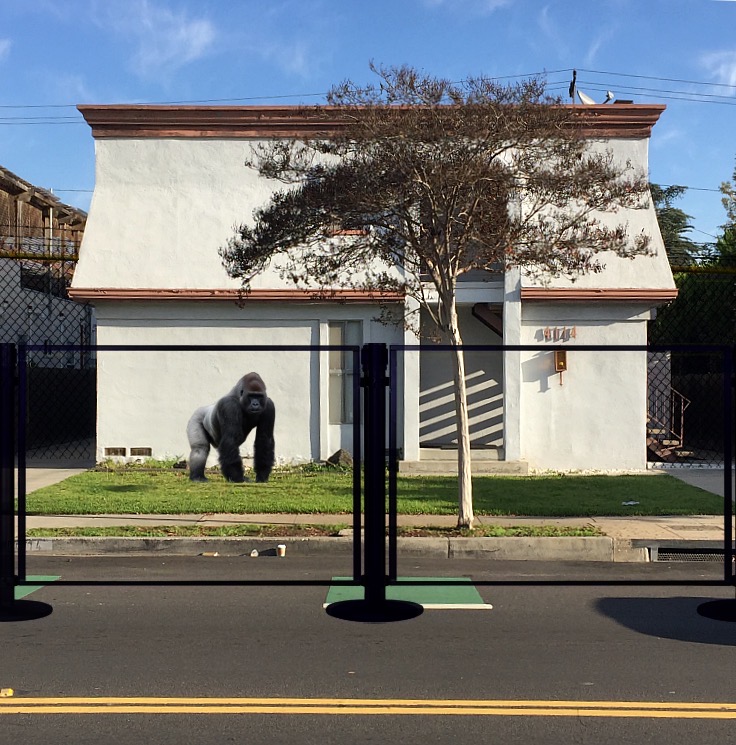 street view of an house with a tree in front plus a gorilla behind a chain link fence